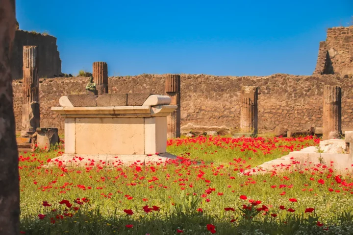 Antepasado italiano: Foto de Pompeya, en Nápoles